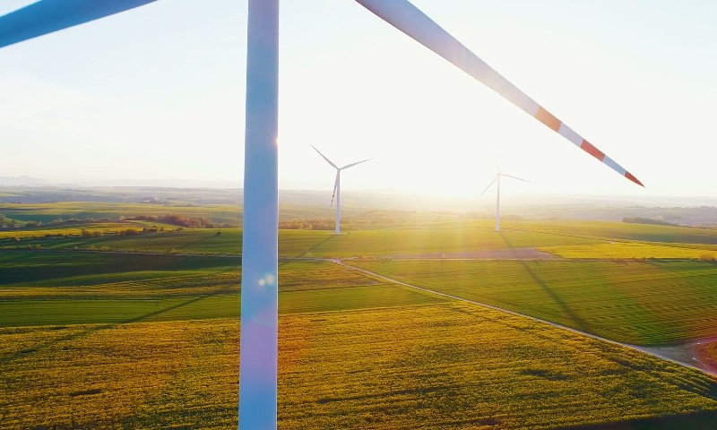 Vetrečanje na suncu, okružene plavim nebom i zelenim poljima